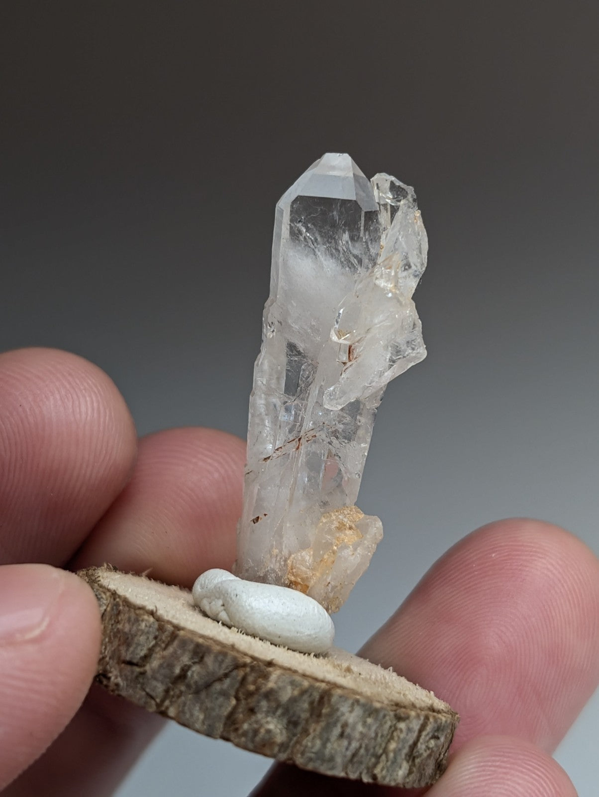 Unique Faden Quartz Crystal, Montgomery County, Arkansas, USA, w/ wood mount