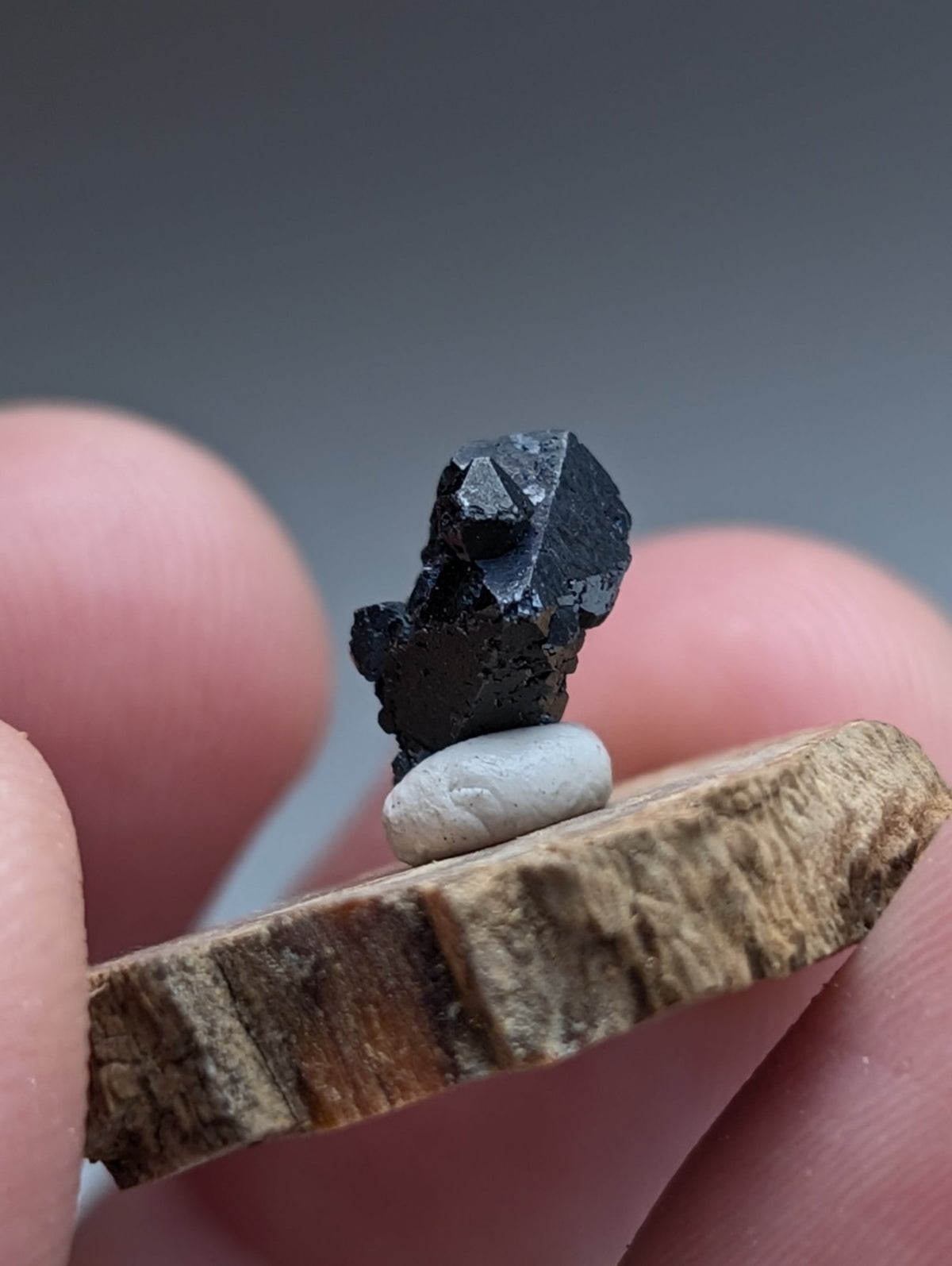 A+ Brookite Crystal, Magnet Cove, Arkansas, Old Stock, + wood stand