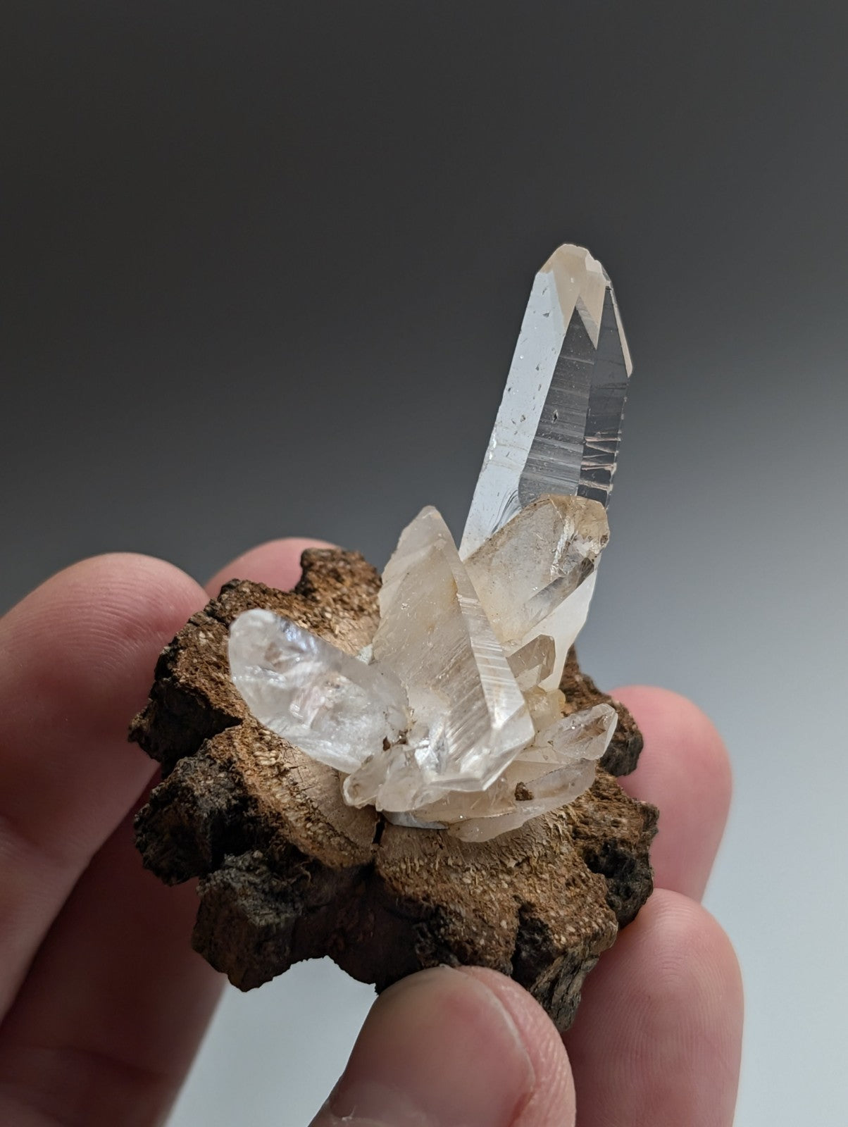 A+ Quartz Cluster, Old Stock, Montgomery County, Arkansas, w/ natural wood base