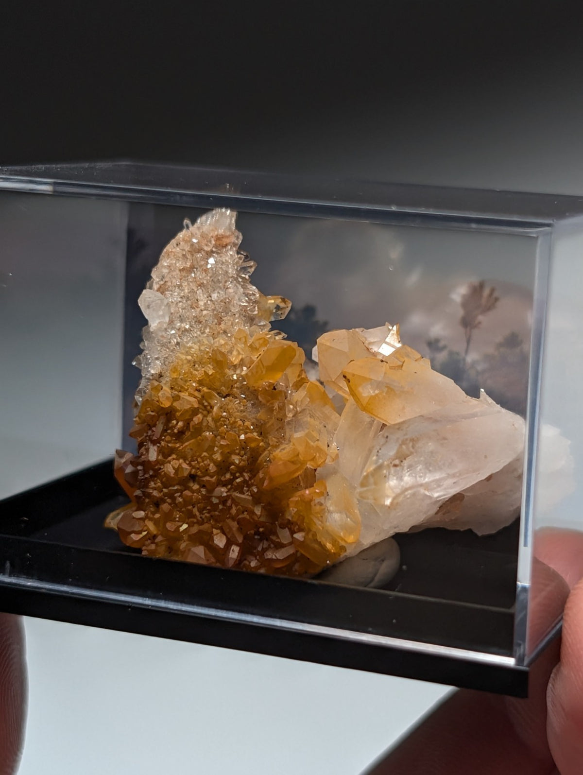 Pyramid Quartz Crystal Cluster, w/ photo case/mount, Montgomery County, Arkansas