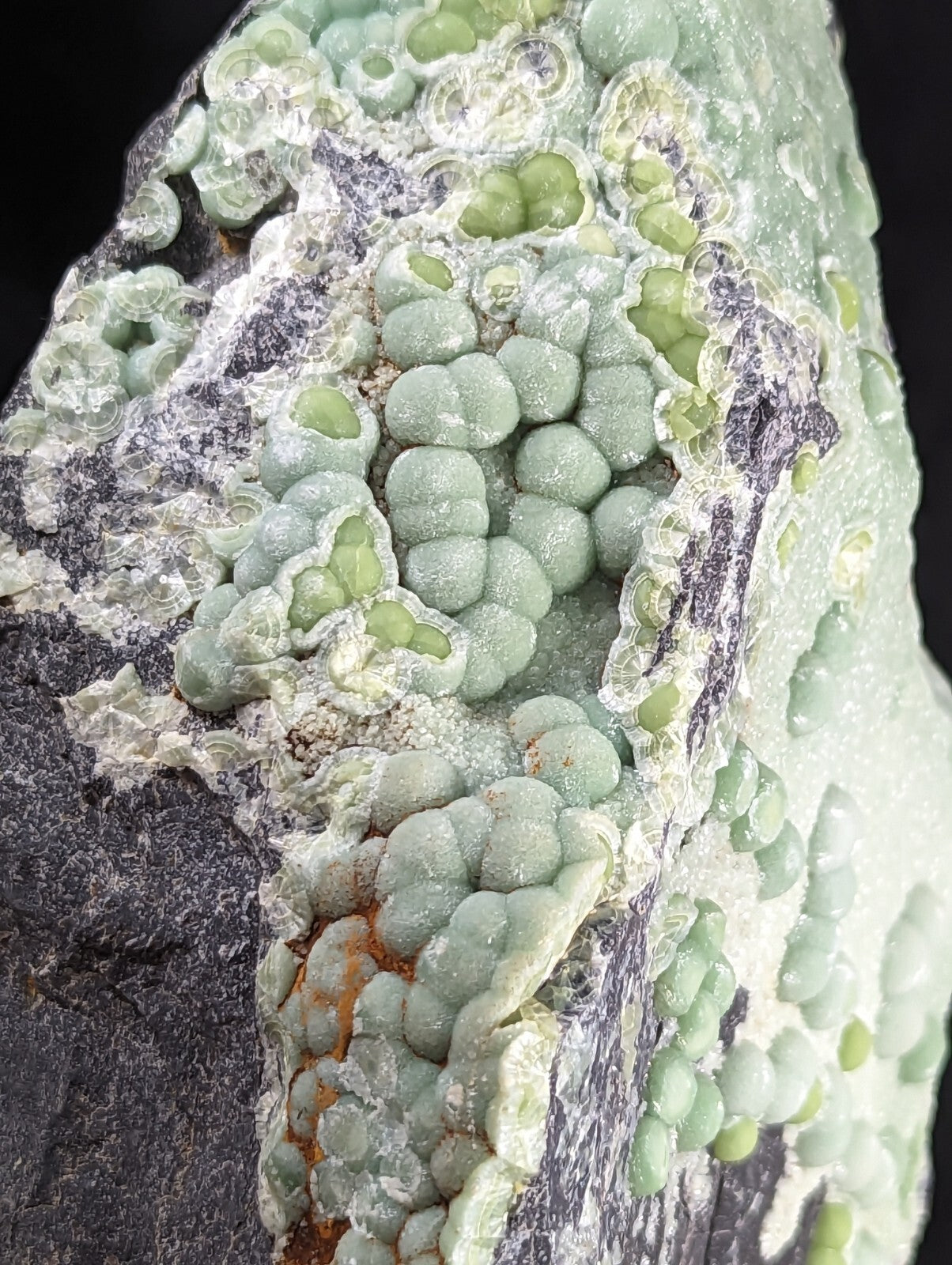 Huge Wavellite - Fantastic Old Stock - Mauldin Mountain, Arkansas, Self Stands!