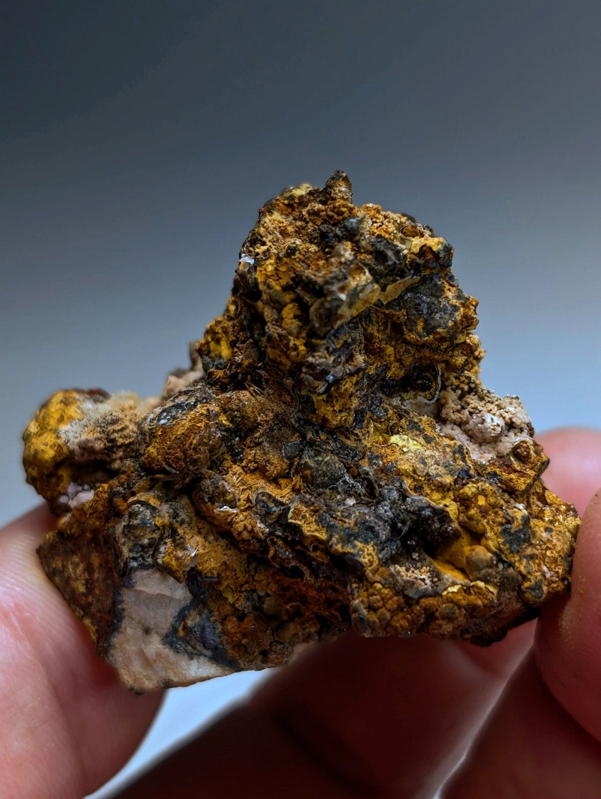 Super Rare Strengite + Cacoxenite, etc, Coon Creek Mine, Polk Co, Arkansas, USA