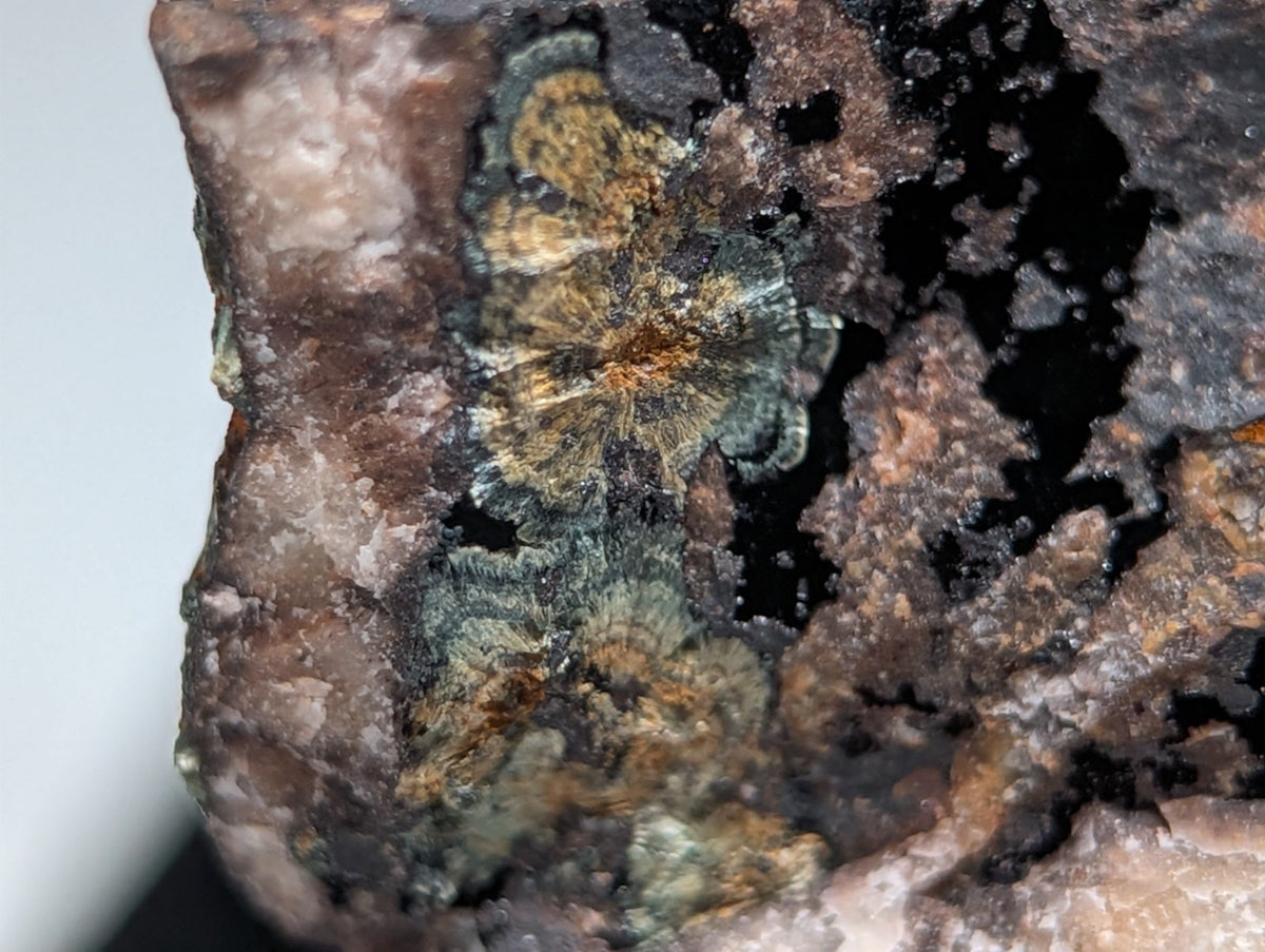 Rare Kidwellite on Novaculite - Coon Creek, Polk County, Arkansas, w/ photo case