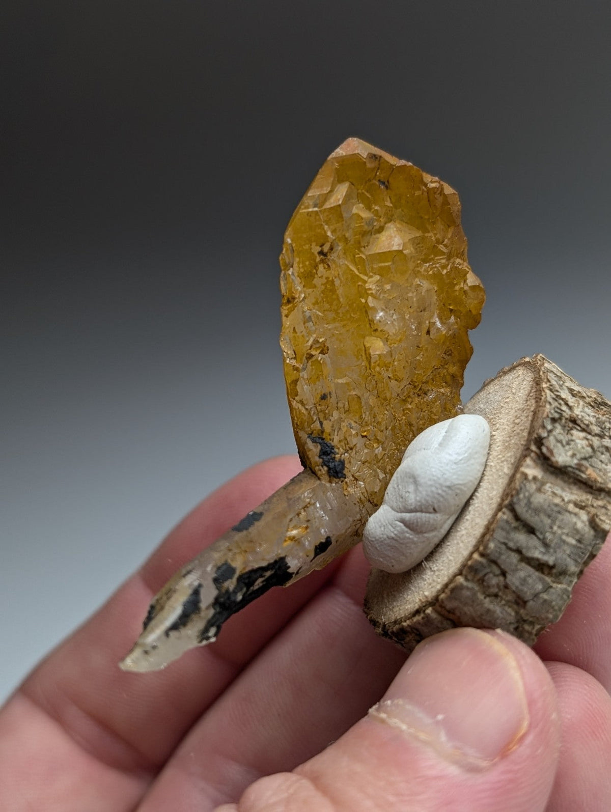 A+ Unique Quartz, Old Stock, Montgomery County, Arkansas, w/ natural wood base