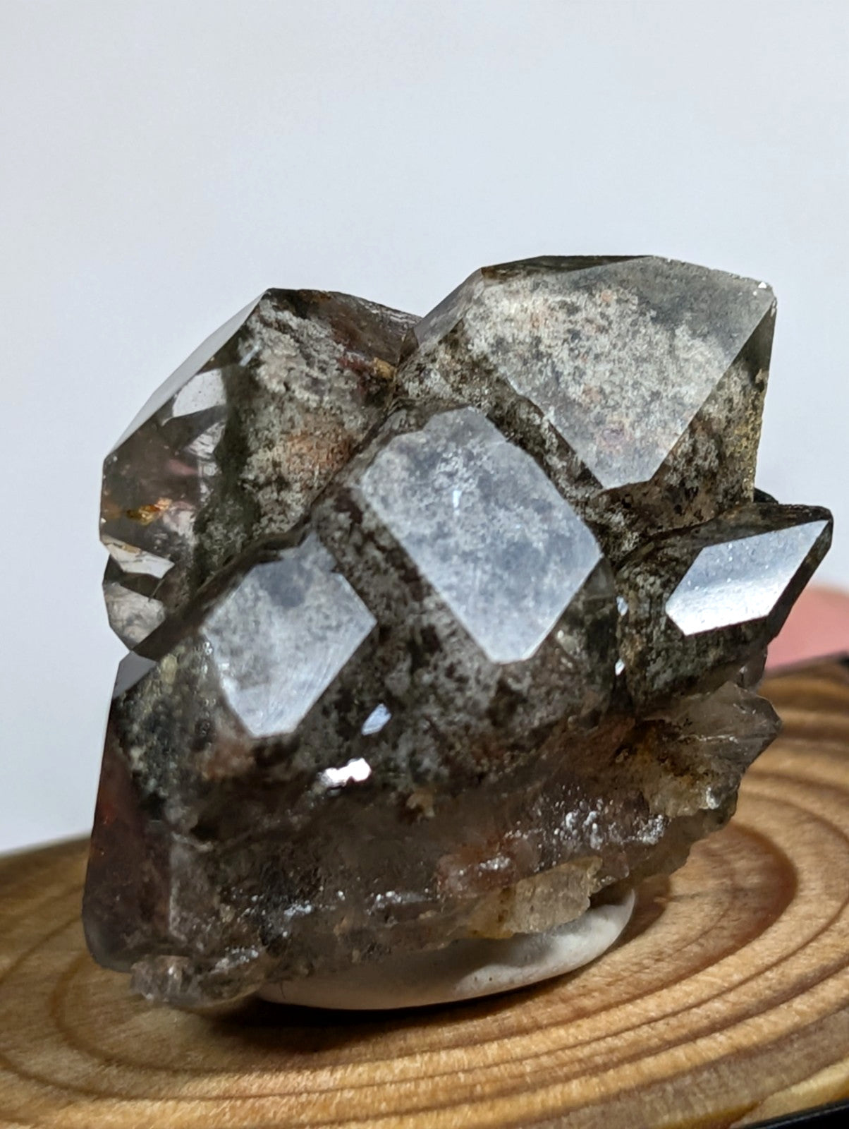 UNIQUE Phantom Quartz, w/ wood mount + photo case  - Garland County, Arkansas