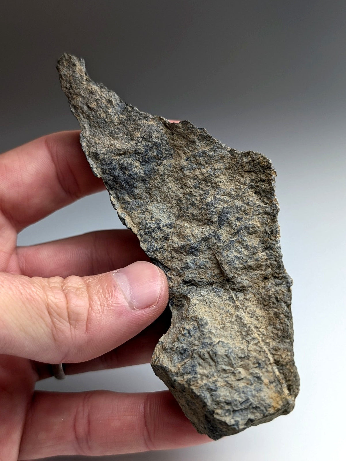 Jacupirangite, Magnet Cove, Hot Spring County, Arkansas, Unique Old Stock