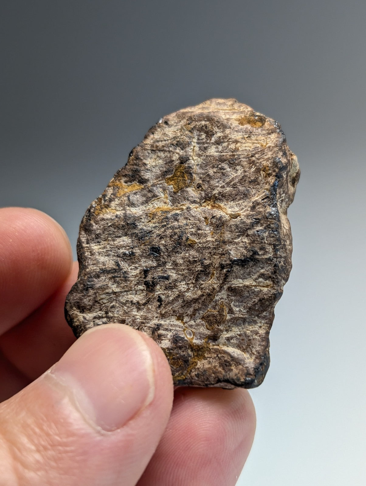 Magnetite (lodestone), Magnet Cove, Hot Spring County, Arkansas, Natural Magnet!