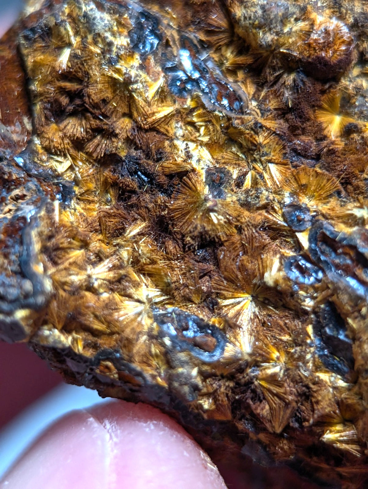 VERY RARE Strengite + Cacoxenite- Coon Creek, Polk County, Arkansas
