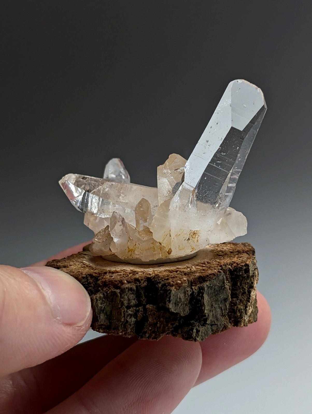 A+ Quartz Cluster, Old Stock, Montgomery County, Arkansas, w/ natural wood base
