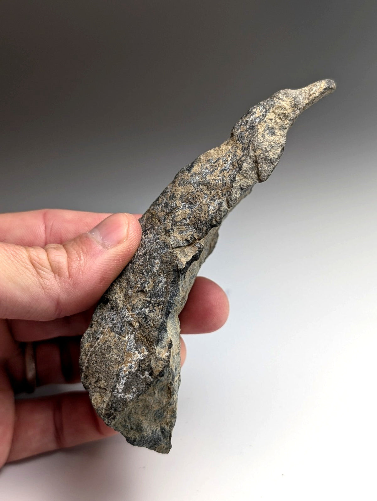 Jacupirangite, Magnet Cove, Hot Spring County, Arkansas, Unique Old Stock