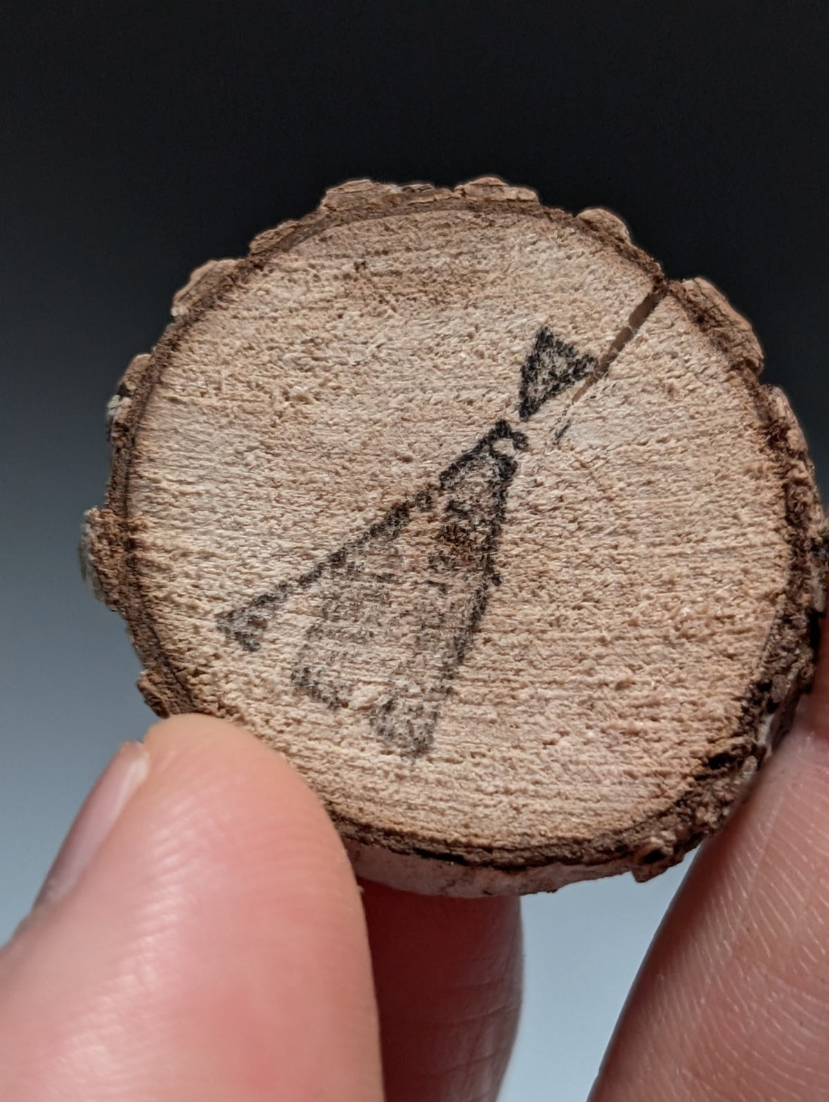 A+ Quartz Crystal Oddity, Montgomery County, Arkansas, w/ natural wood base