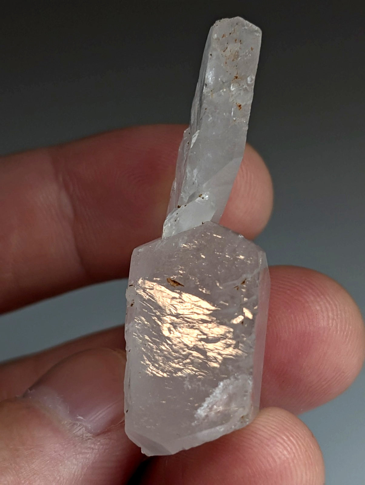 Unique Quartz Crystal "Floater" Point, Old Stock, Montgomery County, Arkansas