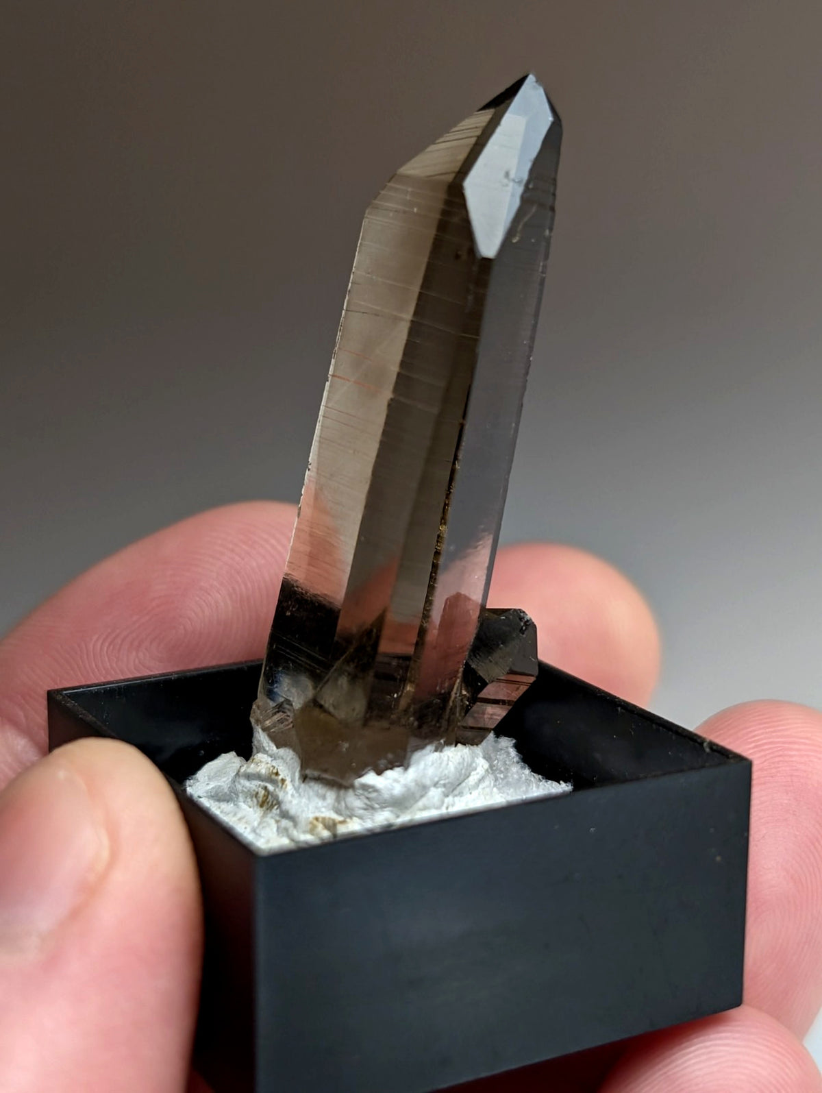 A+ Irradiated Smoky Quartz Crystal Point, Garland County, Arkansas, USA, Delinde