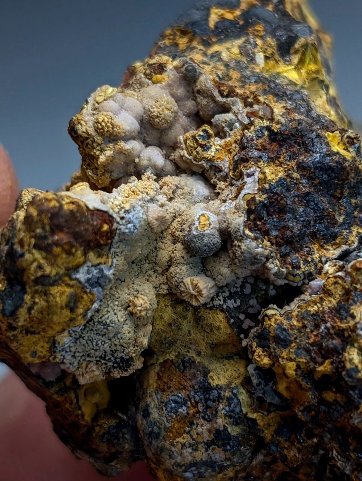 Super Rare Strengite + Cacoxenite, etc, Coon Creek Mine, Polk Co, Arkansas, USA