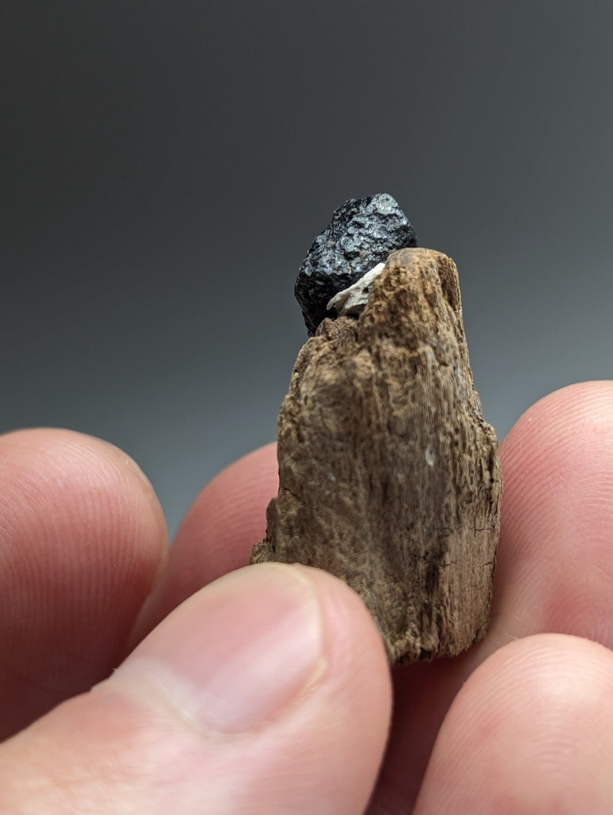 Brookite crystal, Magnet Cove, Hot Spring Co. Arkansas, Old Stock, + wood stand