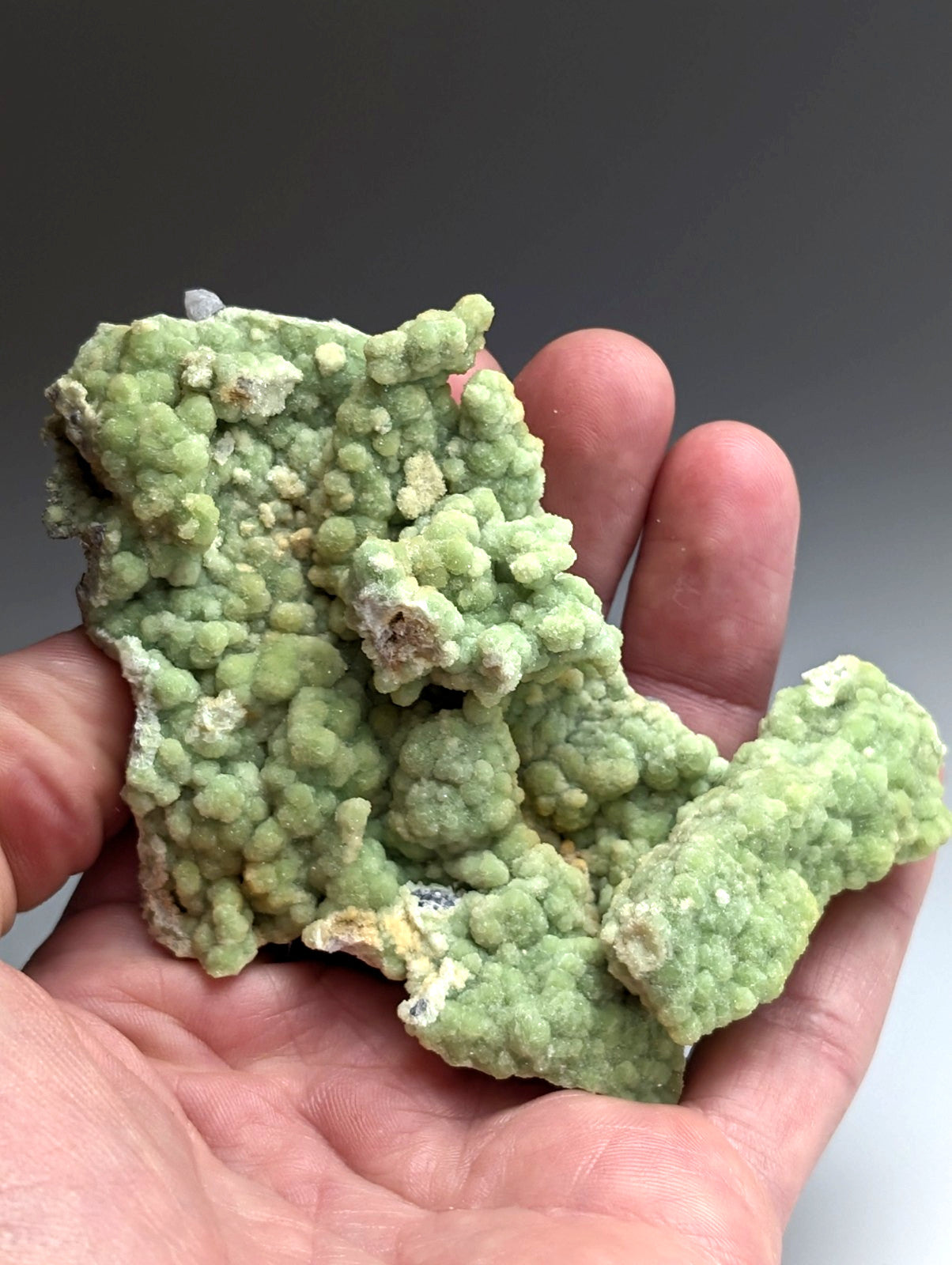 A+ Large FluorWavellite - Intermixed With SiO2- Mauldin Mountain, Arkansas, ooak