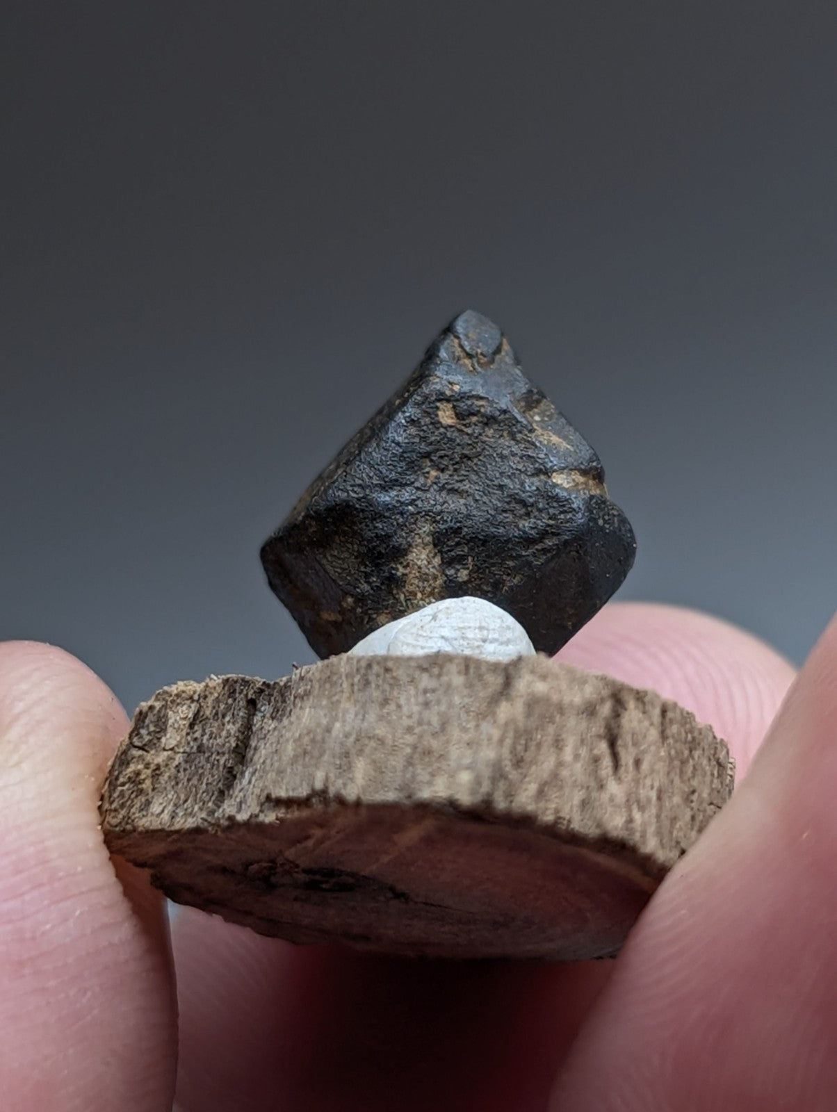 Magnetite Crystal, Magnet Cove Igneous Complex, Arkansas, Old Stock, +wood stand