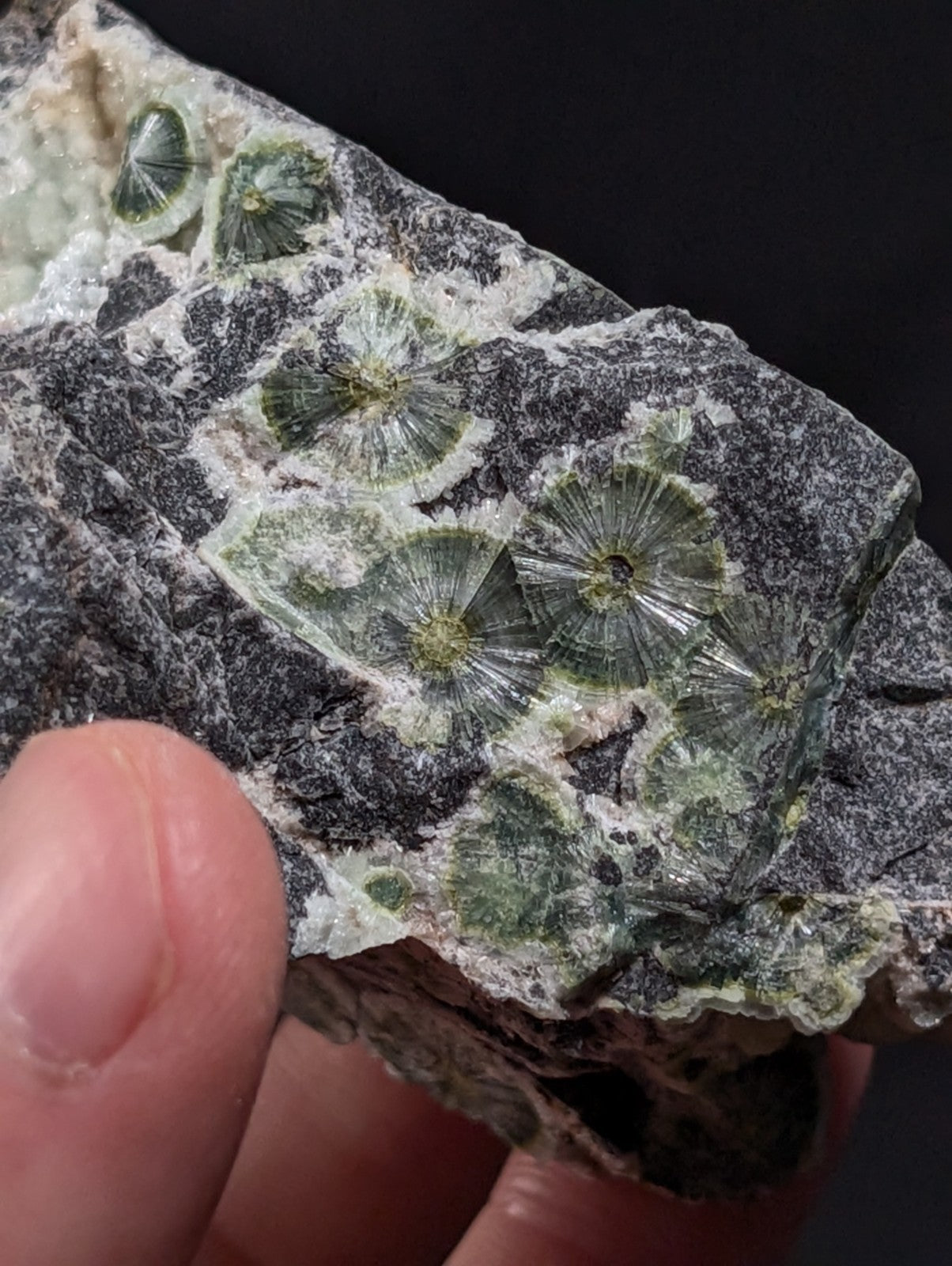 A+++ UV Reactive Wavellite -Old Stock- Mauldin Mountain, Arkansas, USA, RARE!
