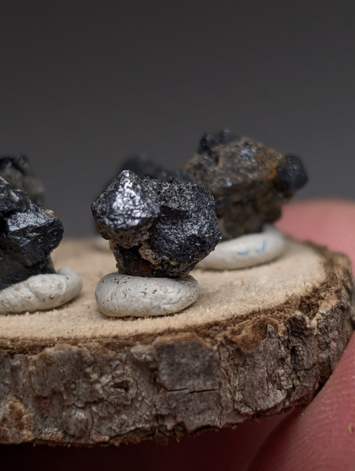 Set of 5 Brookite + Smoky Quartz, Magnet Cove, Arkansas, Old Stock, + wood stand