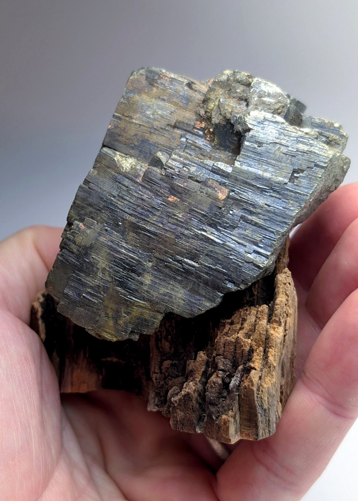Pyrite with Molybdenum, Magnet Cove, Arkansas, USA, w/ wood display, ex Delinde