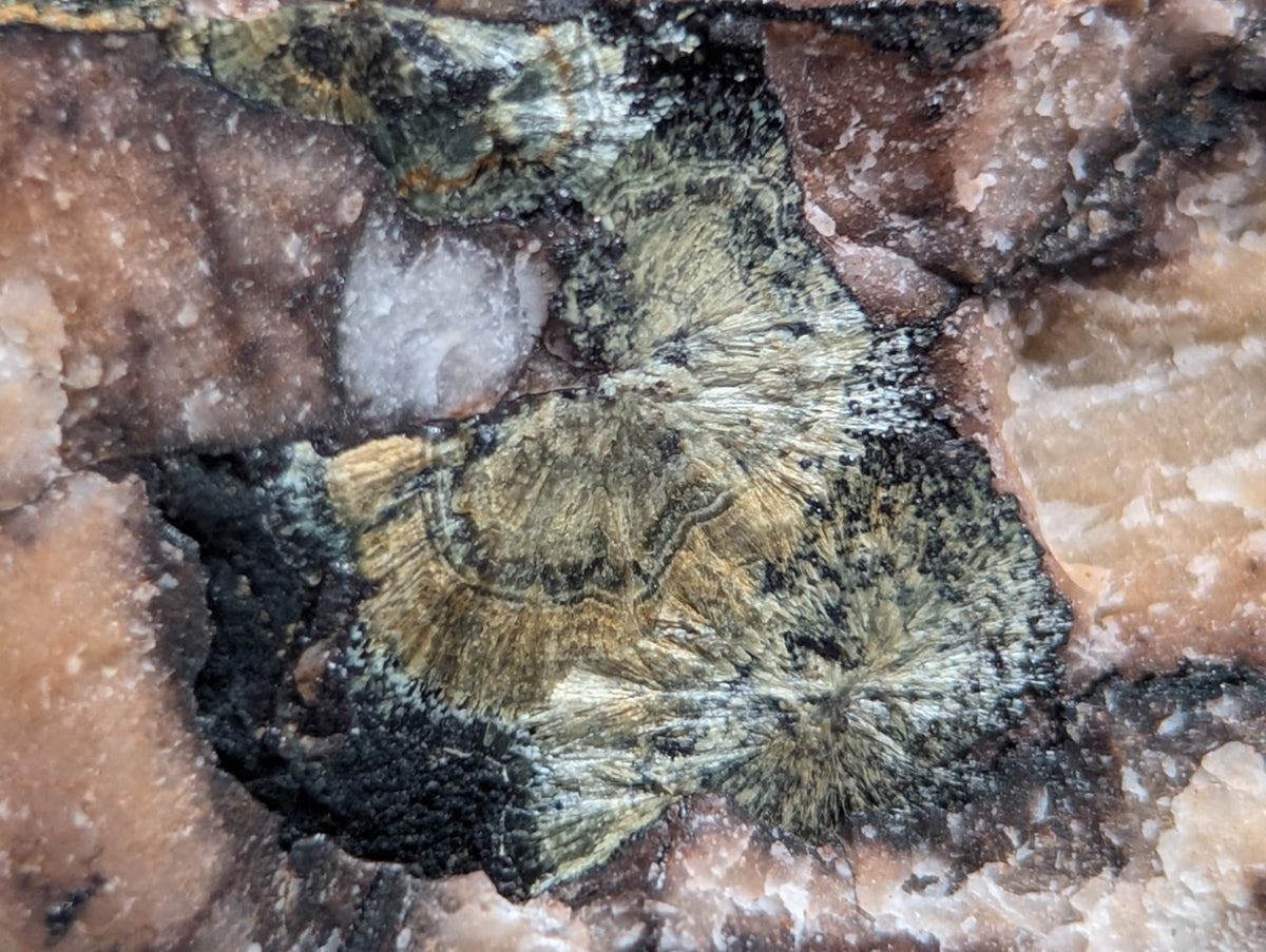 Rare Kidwellite on Novaculite - Coon Creek, Polk County, Arkansas, w/ photo case