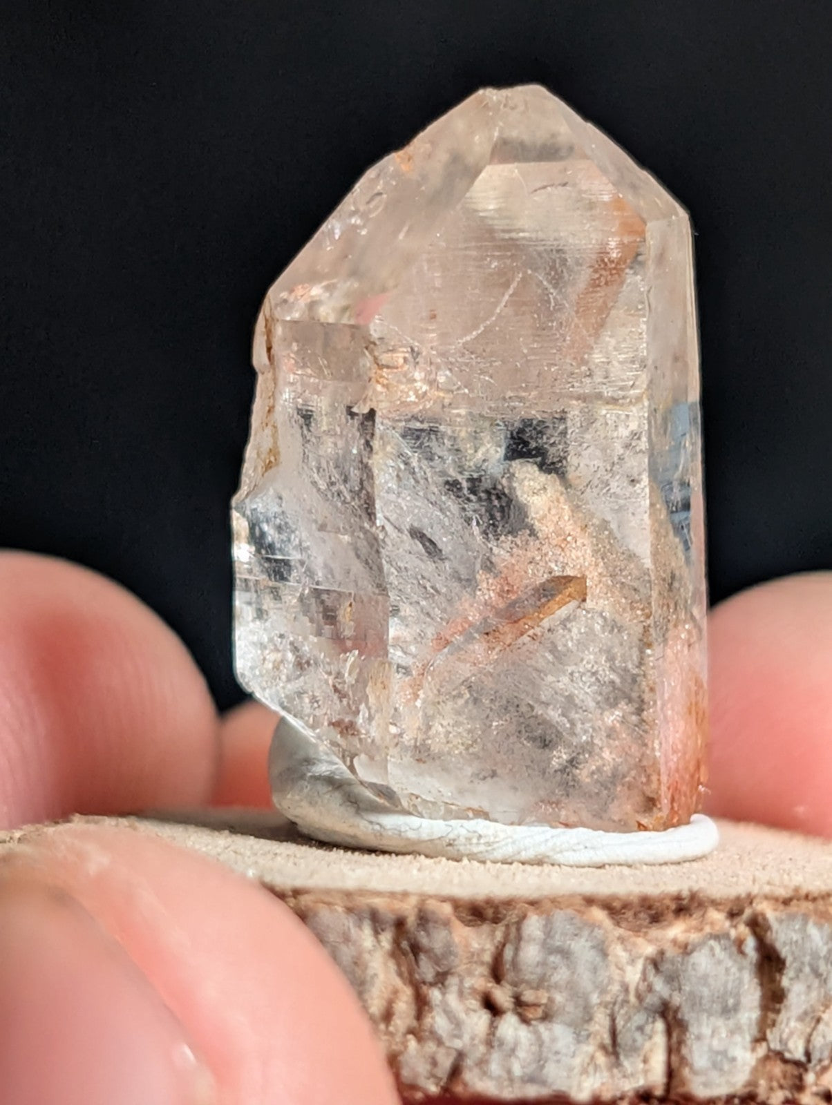 A+ Phantom Quartz, Old Stock, Montgomery County, Arkansas, w/ natural wood base