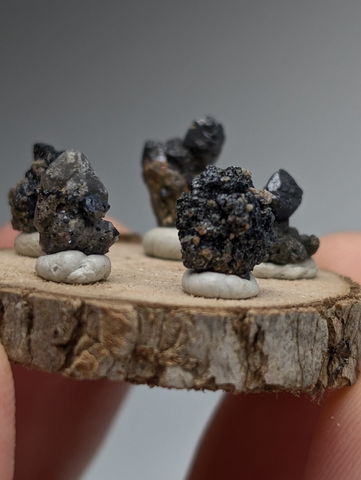 Set of 5 Brookite + Smoky Quartz, Magnet Cove, Arkansas, Old Stock, + wood stand