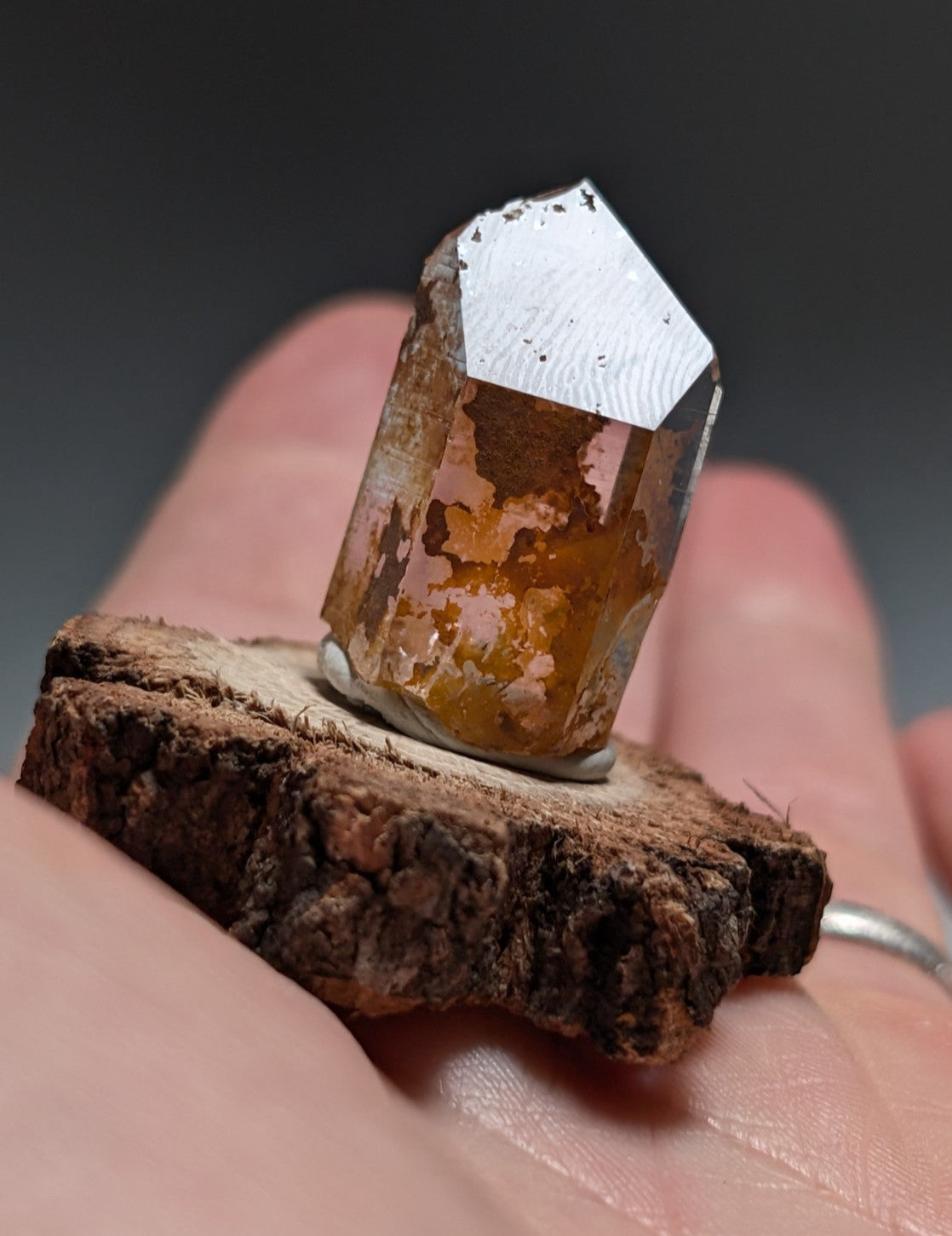 A+ Optical Quartz, Old Stock, Montgomery County, Arkansas, w/ natural wood base