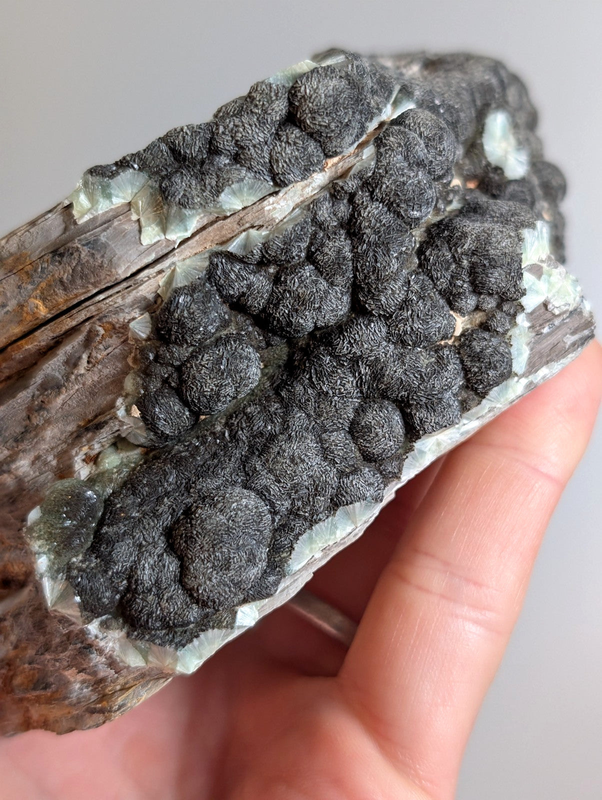Black Wavellite - Fantastic Old Stock - Mauldin Mountain, Arkansas, USA, Rare