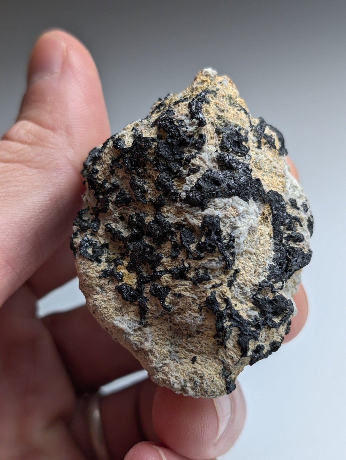 Garnet on Syenite matrix, Magnet Cove, Hot Spring County, Arkansas, Old Stock