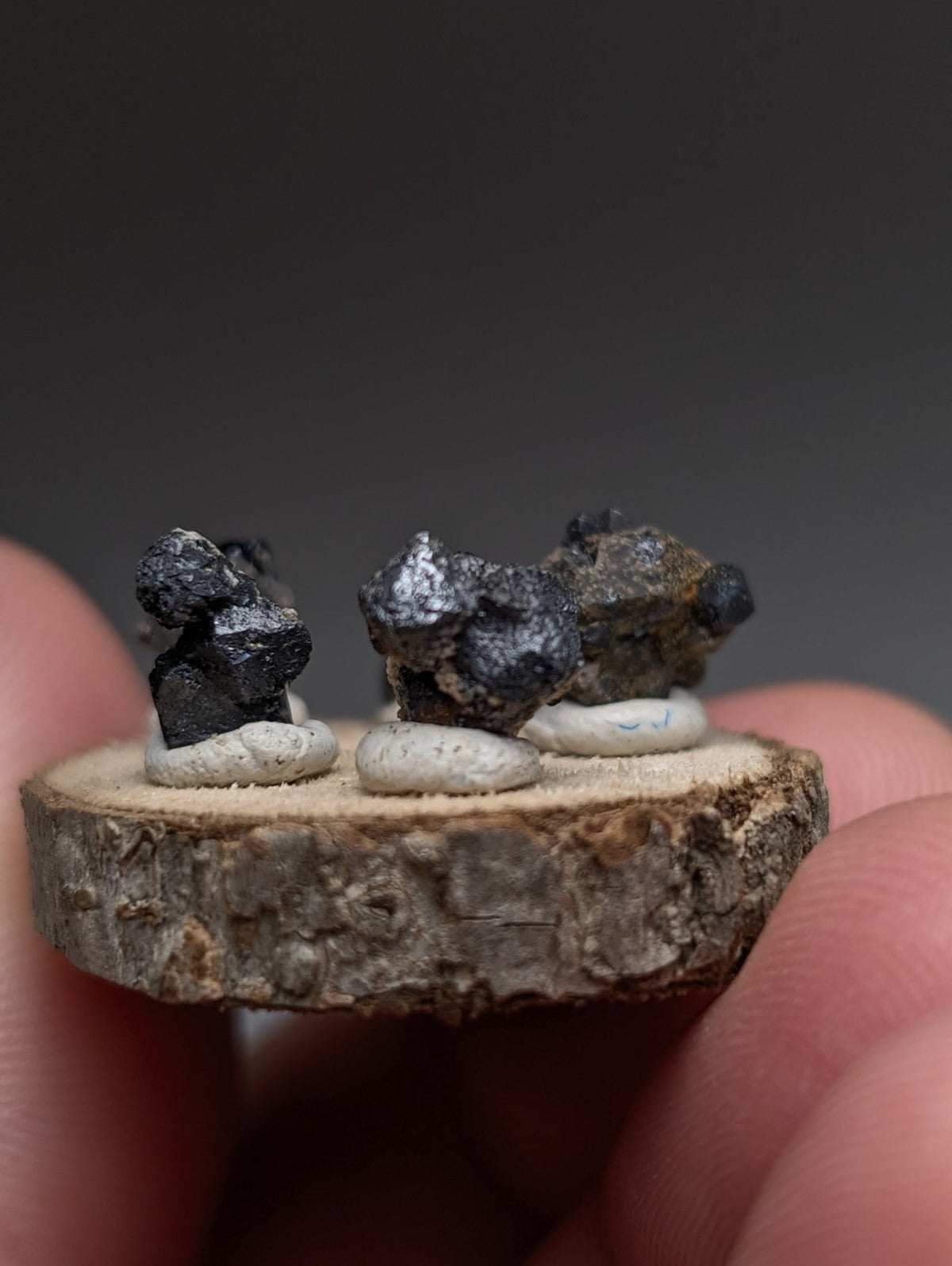Set of 5 Brookite + Smoky Quartz, Magnet Cove, Arkansas, Old Stock, + wood stand