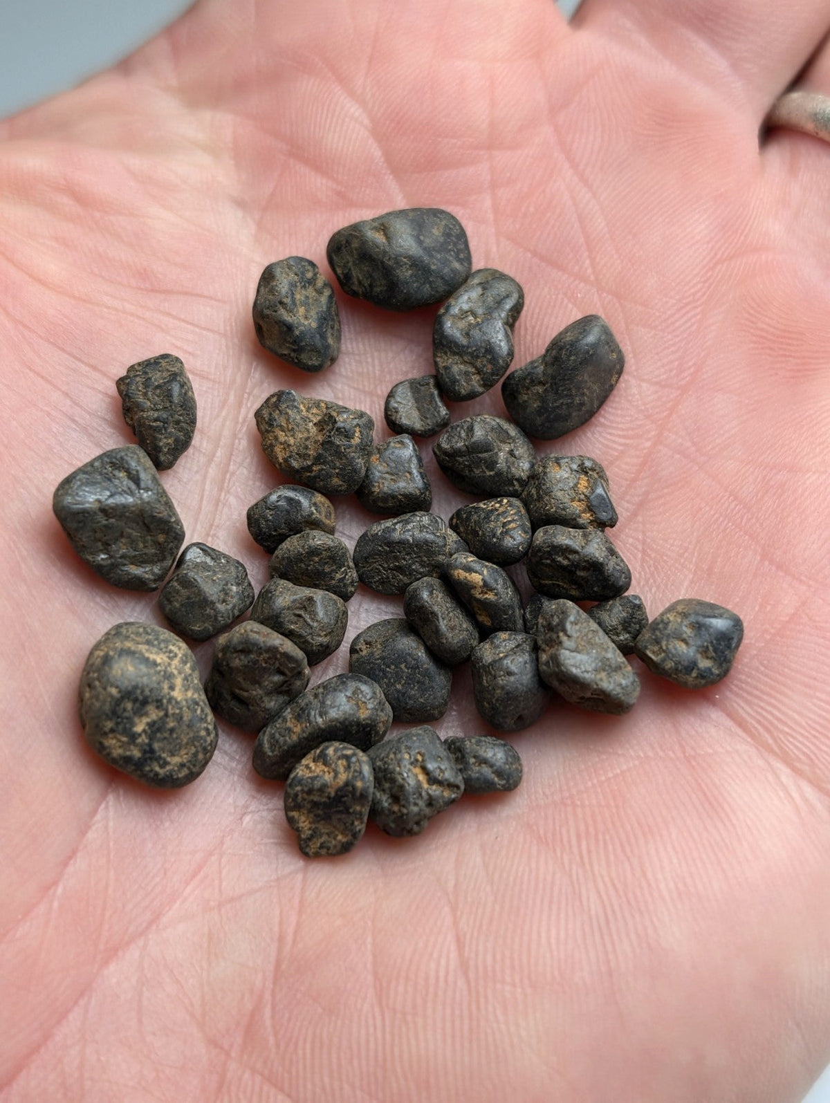 Very Rare, Placer Rutile, Arkansas, Magnet Cove, Old Stock,ex Delinde, set of 32