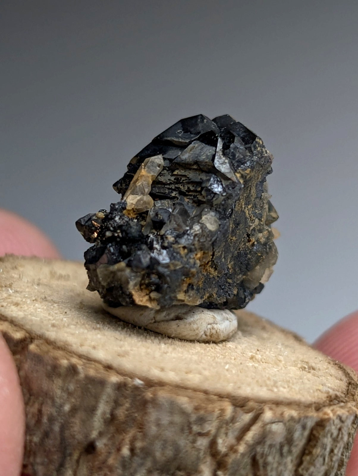 Brookite + Smoky Quartz, Magnet Cove, Arkansas, Old Stock, + wood stand