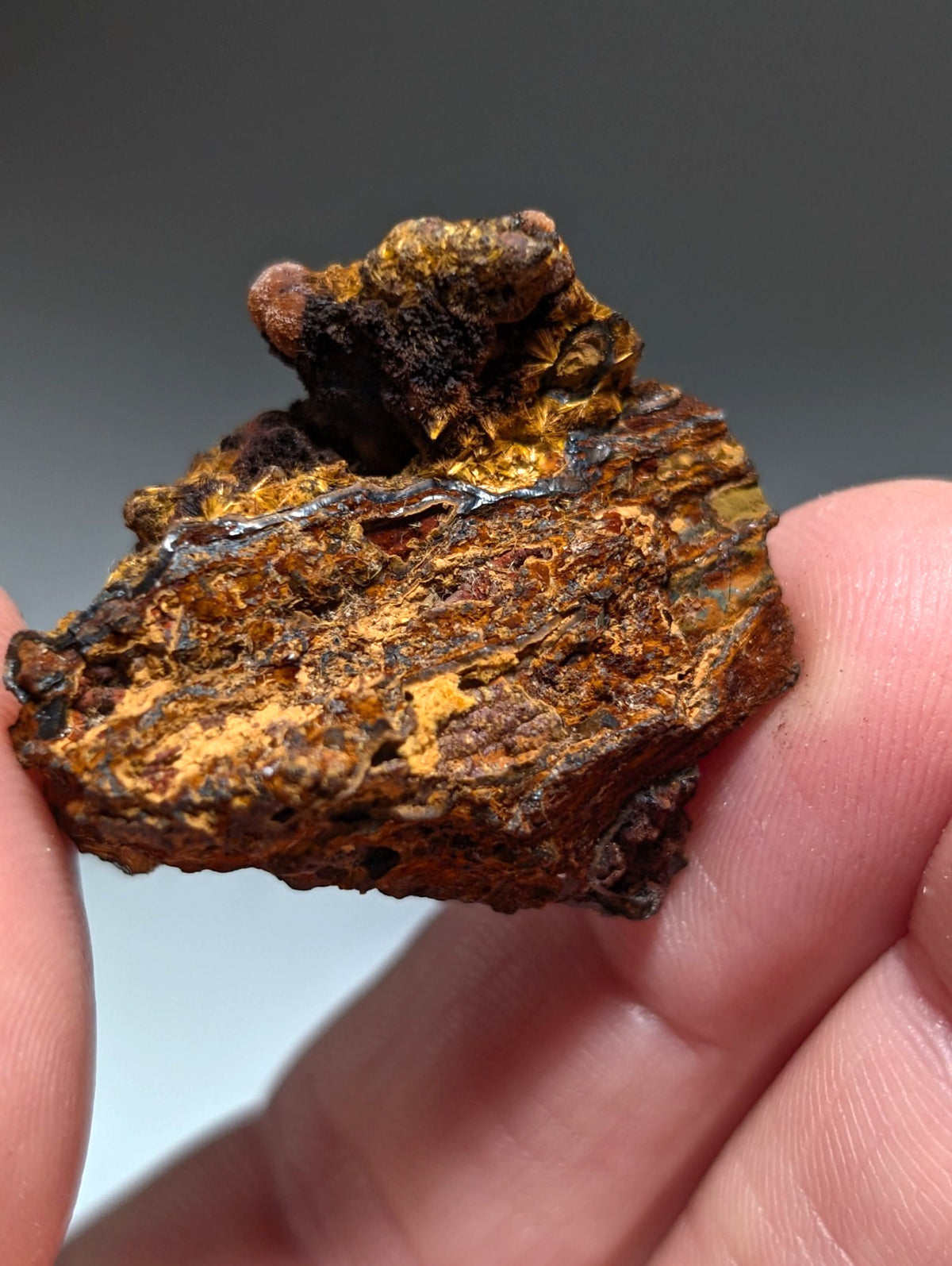 VERY RARE Strengite + Cacoxenite- Coon Creek, Polk County, Arkansas