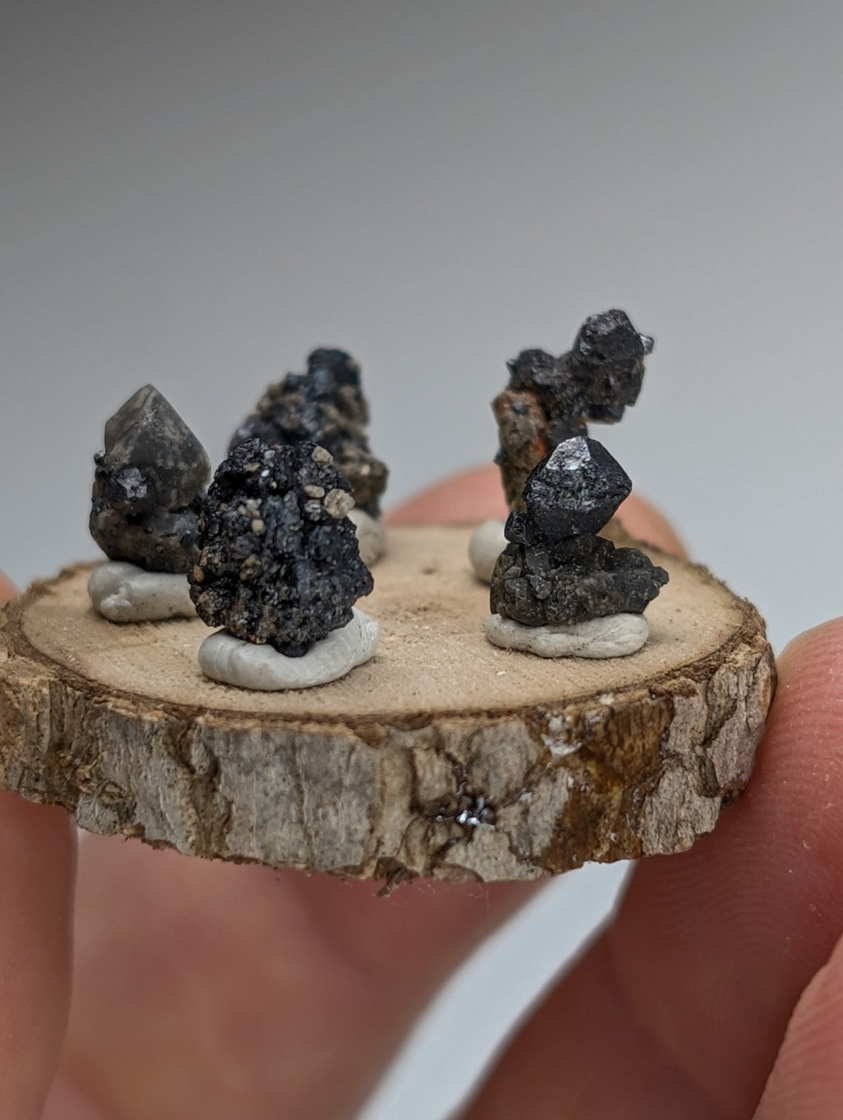 Set of 5 Brookite + Smoky Quartz, Magnet Cove, Arkansas, Old Stock, + wood stand