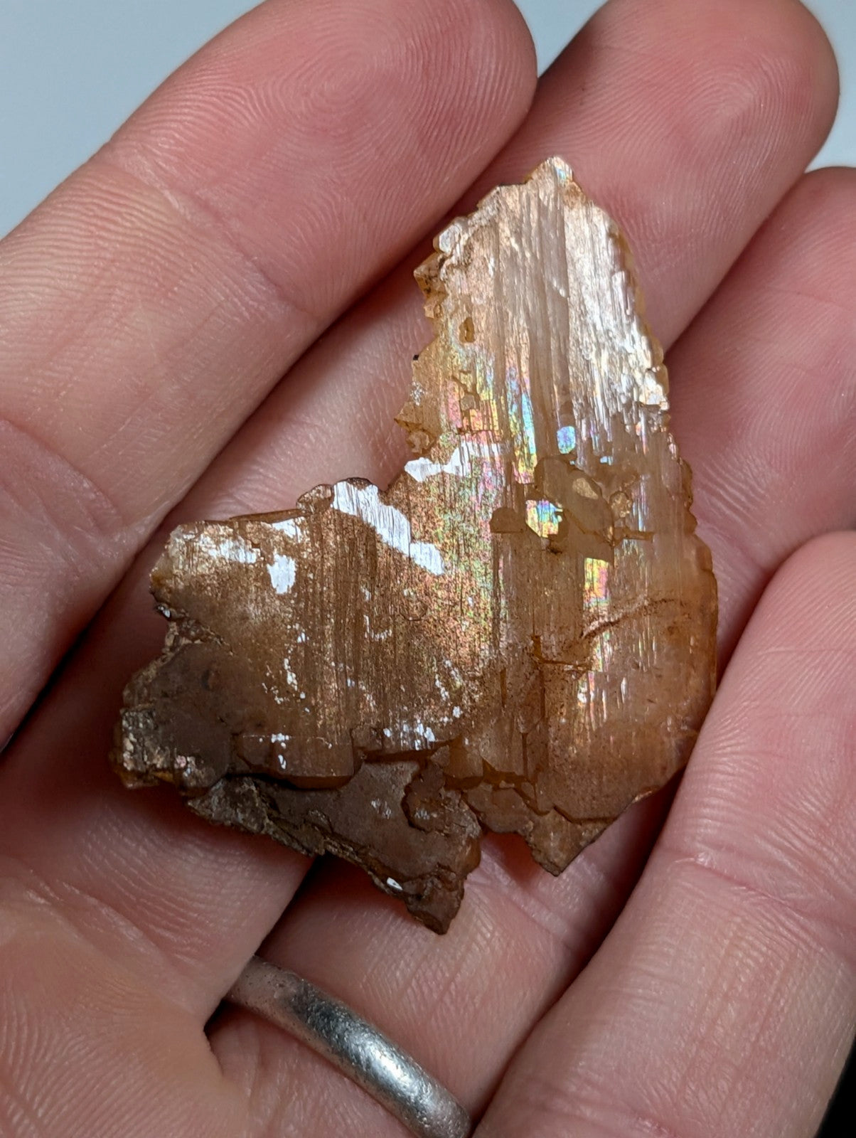 Rare Faden Sheet Quartz Crystal w/ Rainbows, Garland County, Arkansas, USA, A+