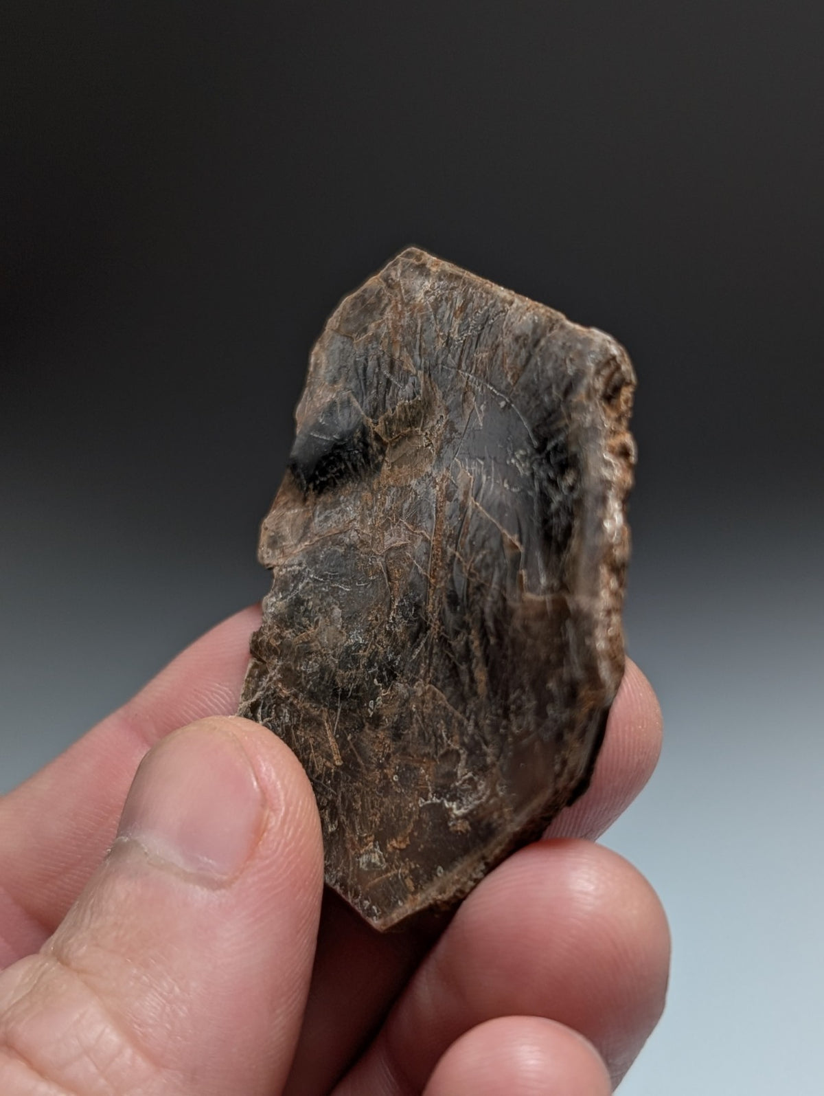 Green/Brown Mica, Magnet Cove, Hot Spring County, Arkansas, USA,Ex Henry Delinde