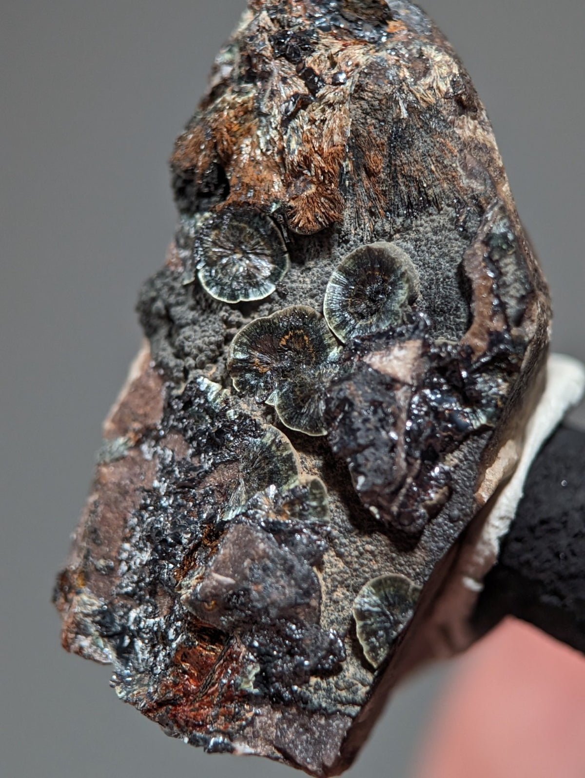 Rare Kidwellite on Novaculite - Coon Creek, Polk County, Arkansas, w/ photo case