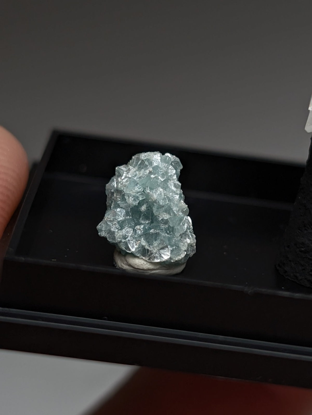 Set of Blue-Green Cookeite + Quartz, Saline County, Arkansas, Old Stock, + case