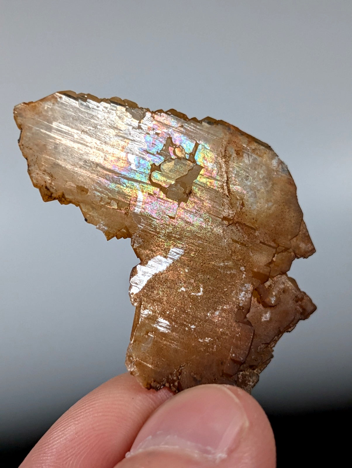 Rare Faden Sheet Quartz Crystal w/ Rainbows, Garland County, Arkansas, USA, A+