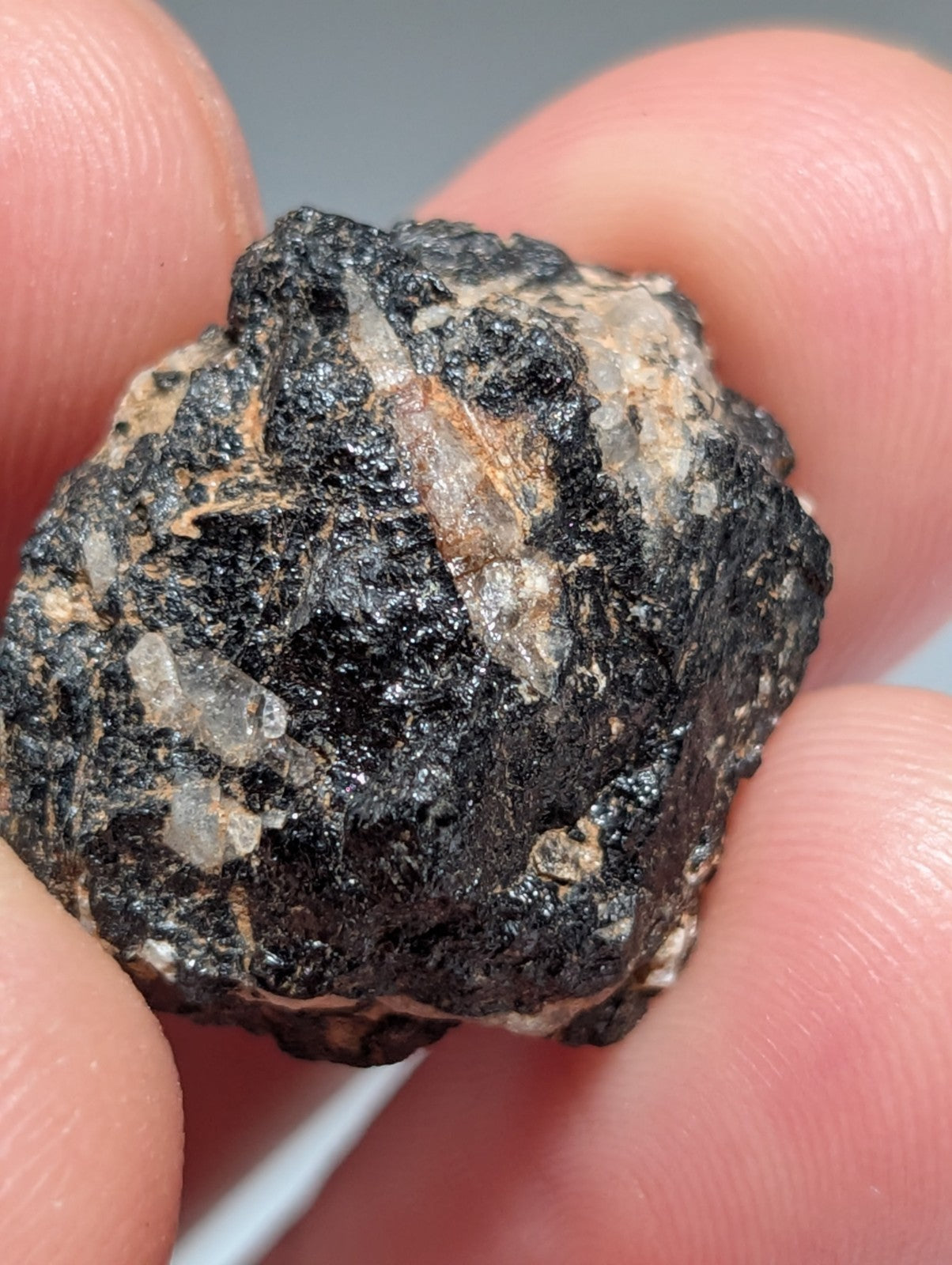 Garnet w/ Fluorapatite OOAK set of 4, Magnet Cove, Arkansas, ex Henry Delinde