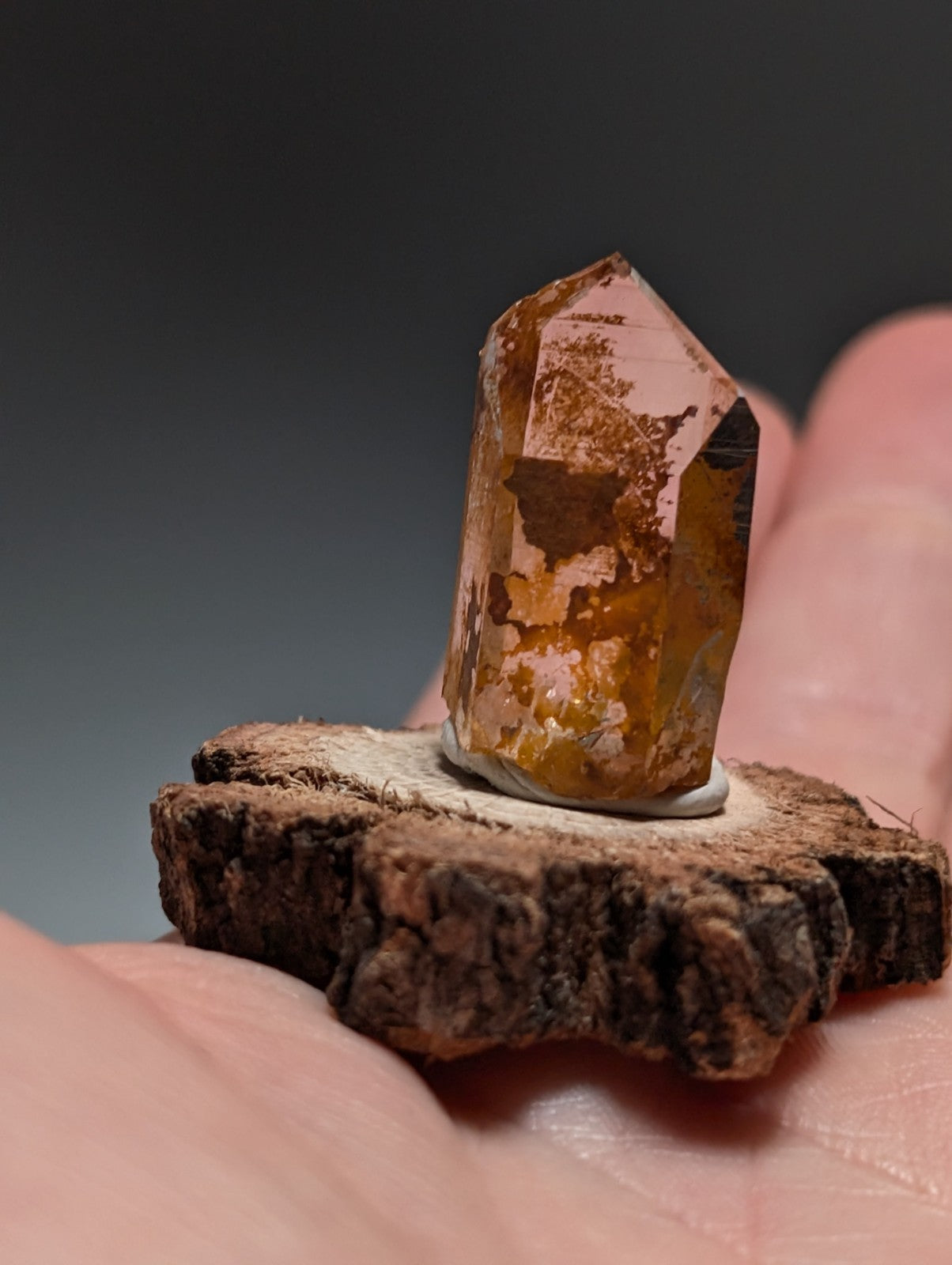 A+ Optical Quartz, Old Stock, Montgomery County, Arkansas, w/ natural wood base