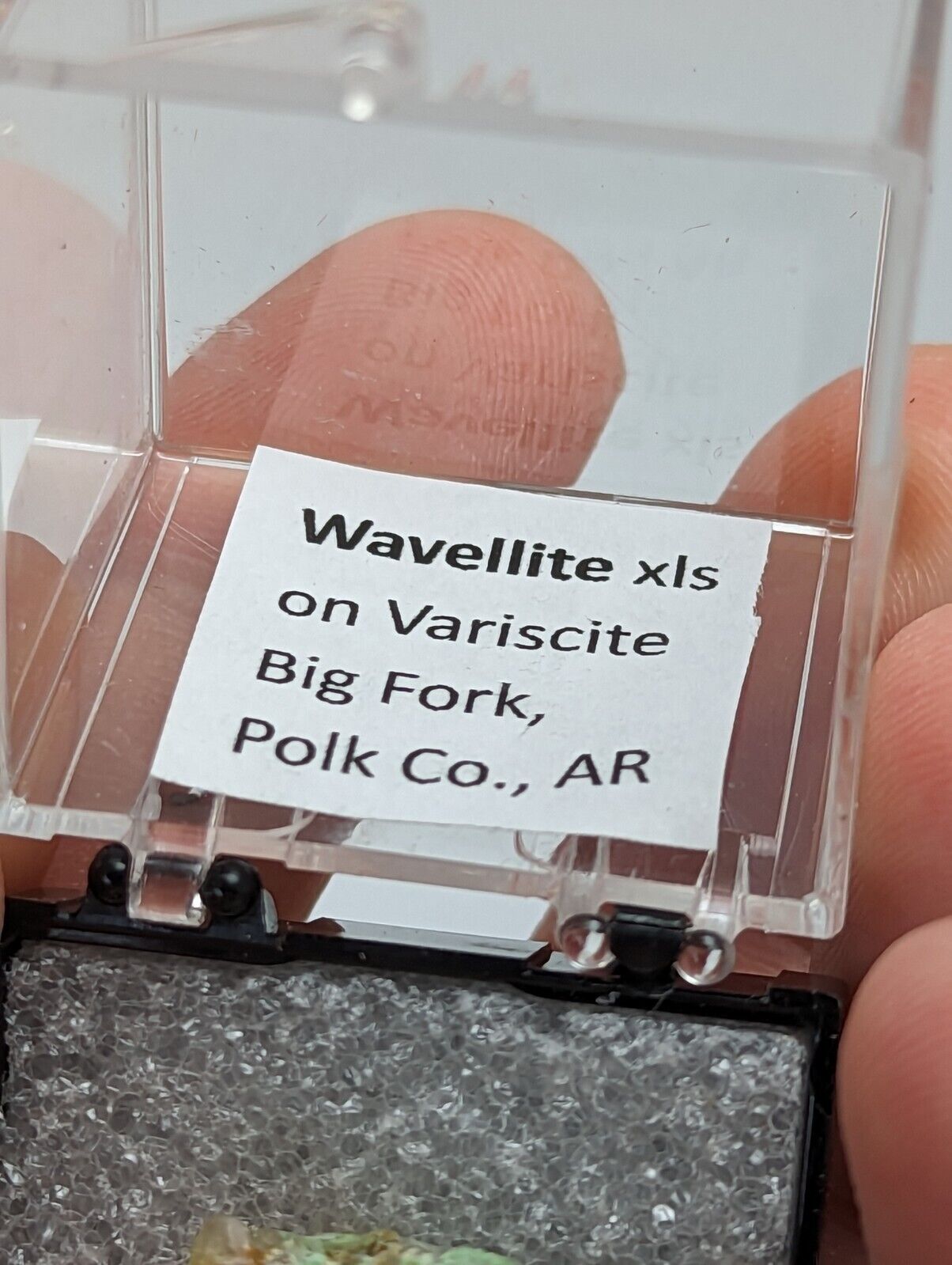 Super Rare old stock Wavellite on Variscite, Big Fork, Polk Co. Arkansas, USA