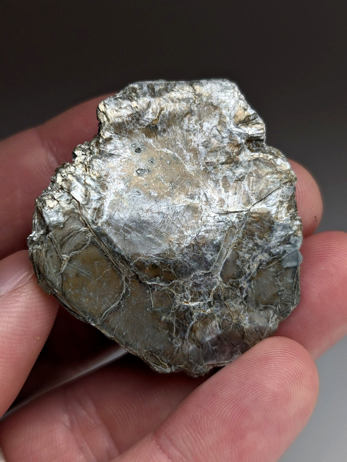 Green Mica, Magnet Cove, Hot Spring County, Arkansas, Unique Old Stock