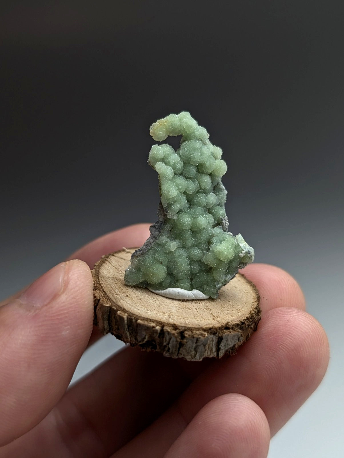 Very Unique Wavellite, Montgomery County, Arkansas, USA, w/ wood mount