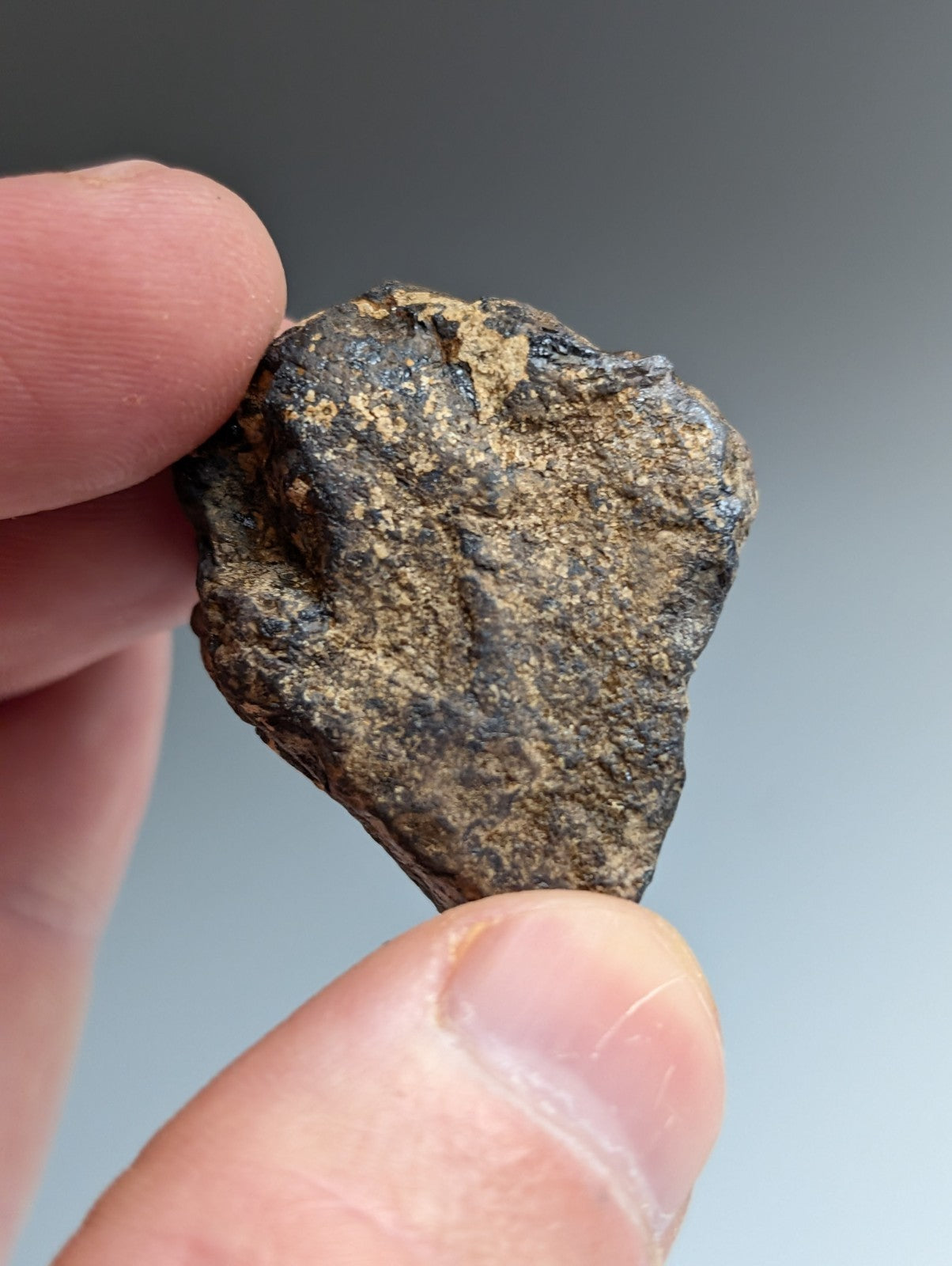 Magnetite (Lodestone), Magnet Cove, Arkansas, Old Stock, natural magnet, x3 Set!
