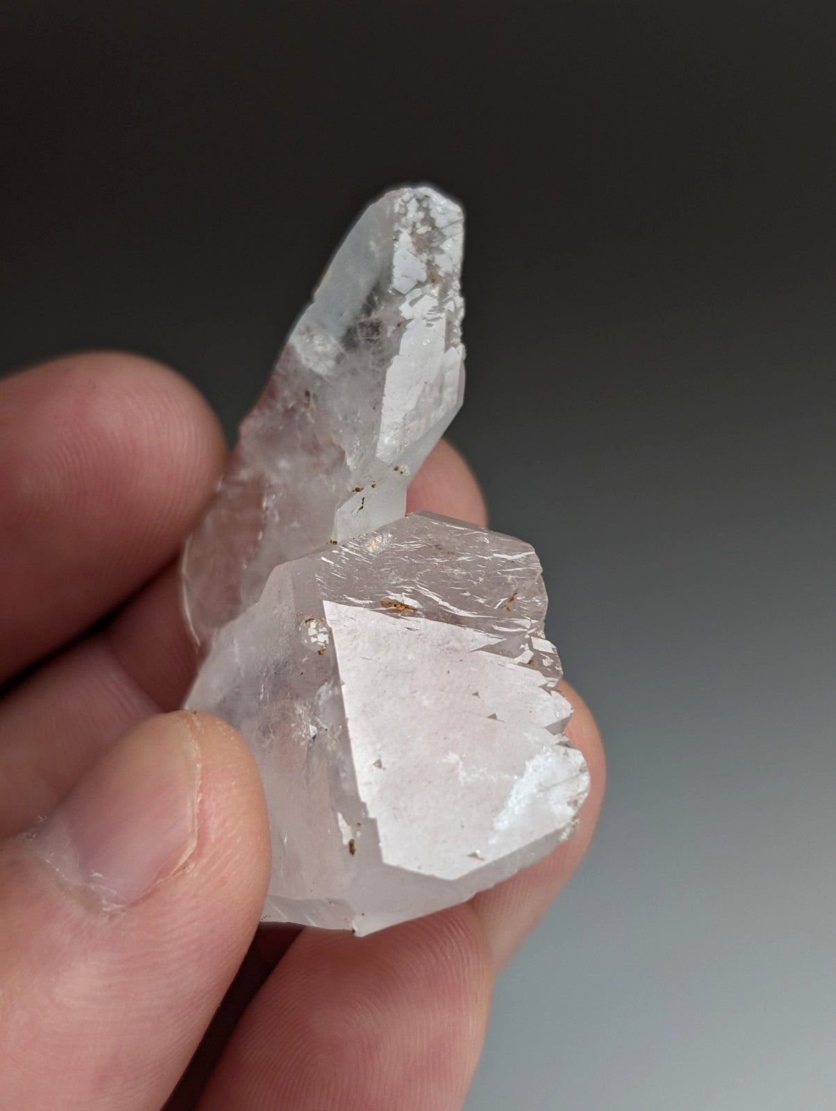 Unique Quartz Crystal "Floater" Point, Old Stock, Montgomery County, Arkansas