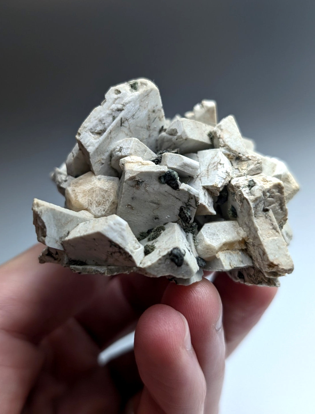 Albite, Biotite, Aegerine, Analcime, 3M Quarry, Little Rock, Arkansas, Delinde!