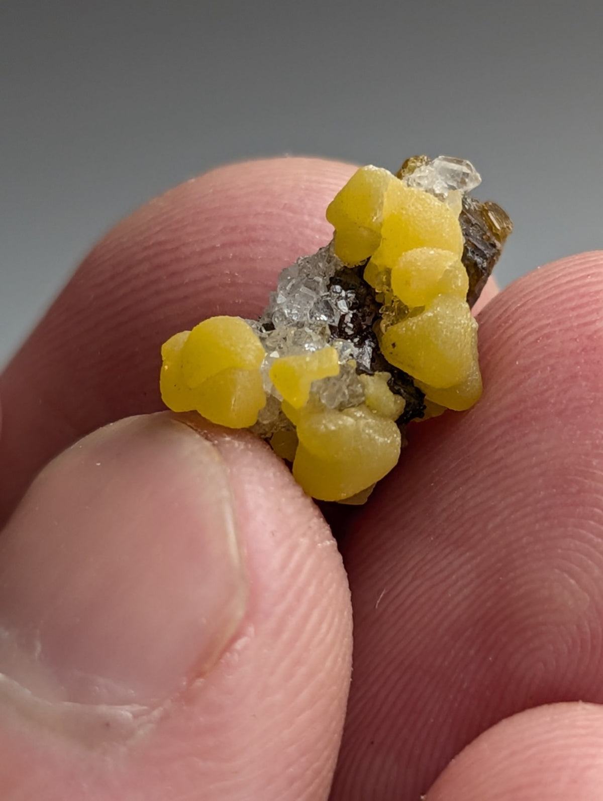 Greenockite included Smithsonite on Quartz/Sphalerite, Rush, Marion Co, Arkansas