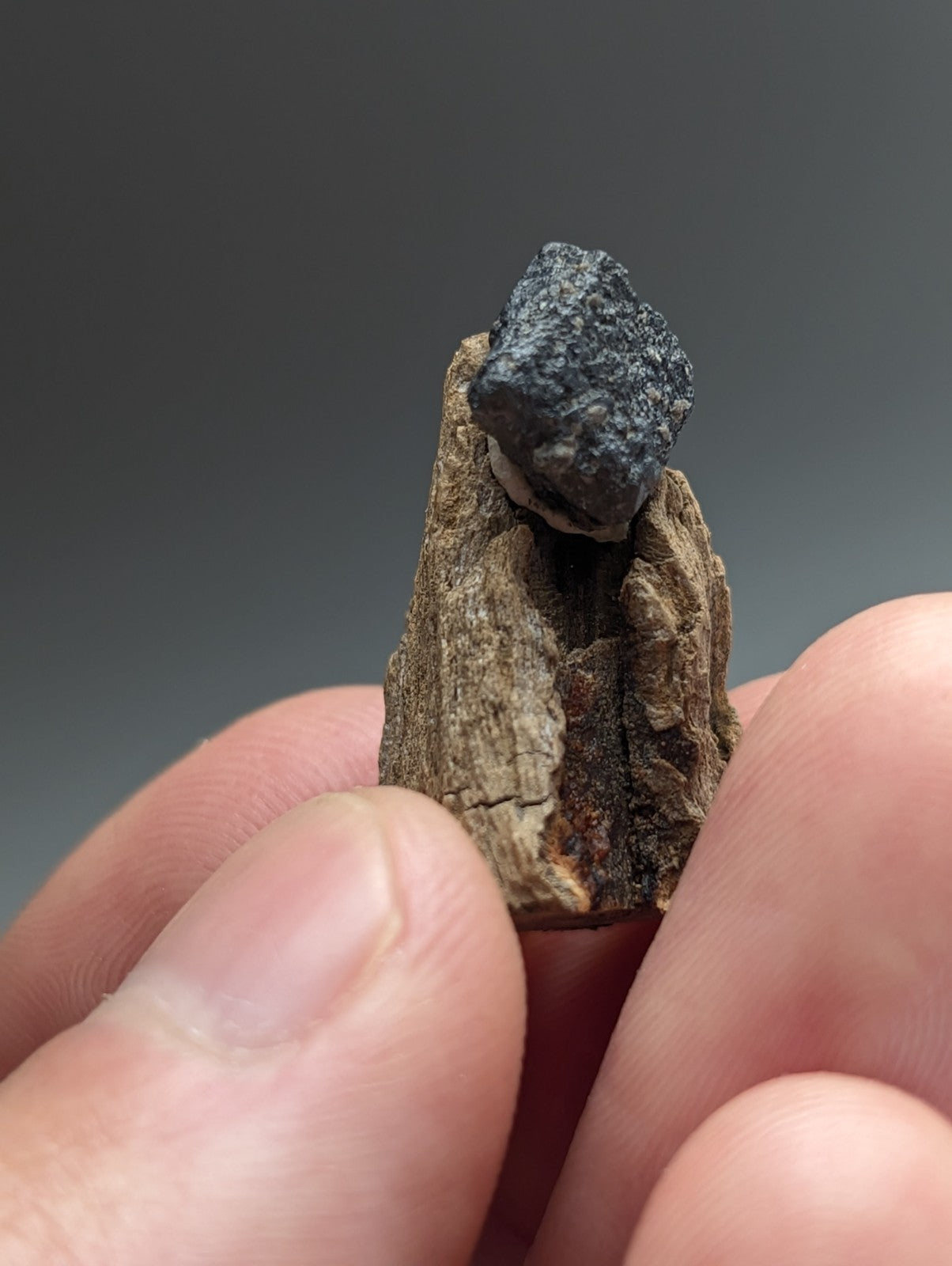 Brookite crystal, Magnet Cove, Hot Spring Co. Arkansas, Old Stock, + wood stand